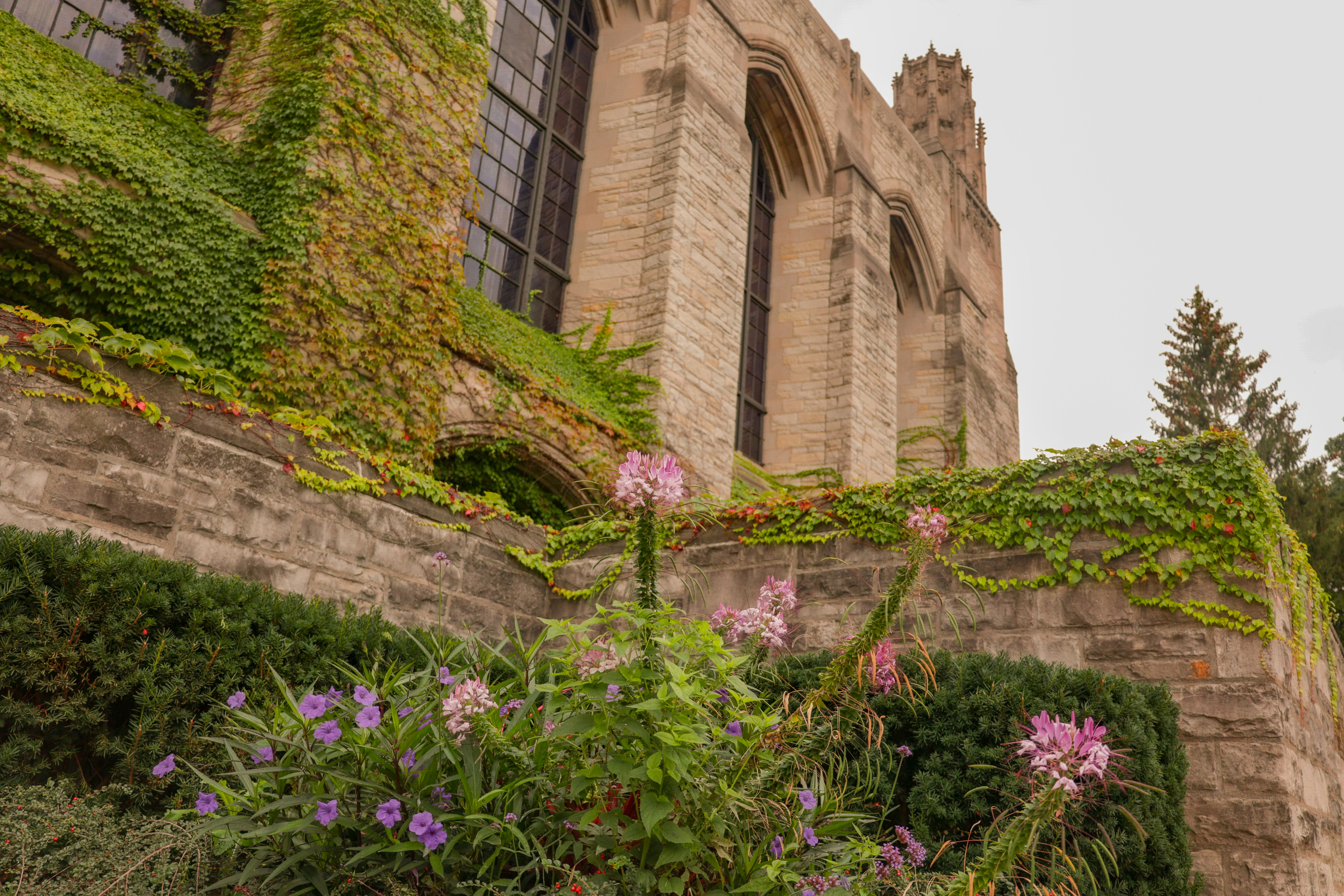 a stone building with vines and flowers growing on it