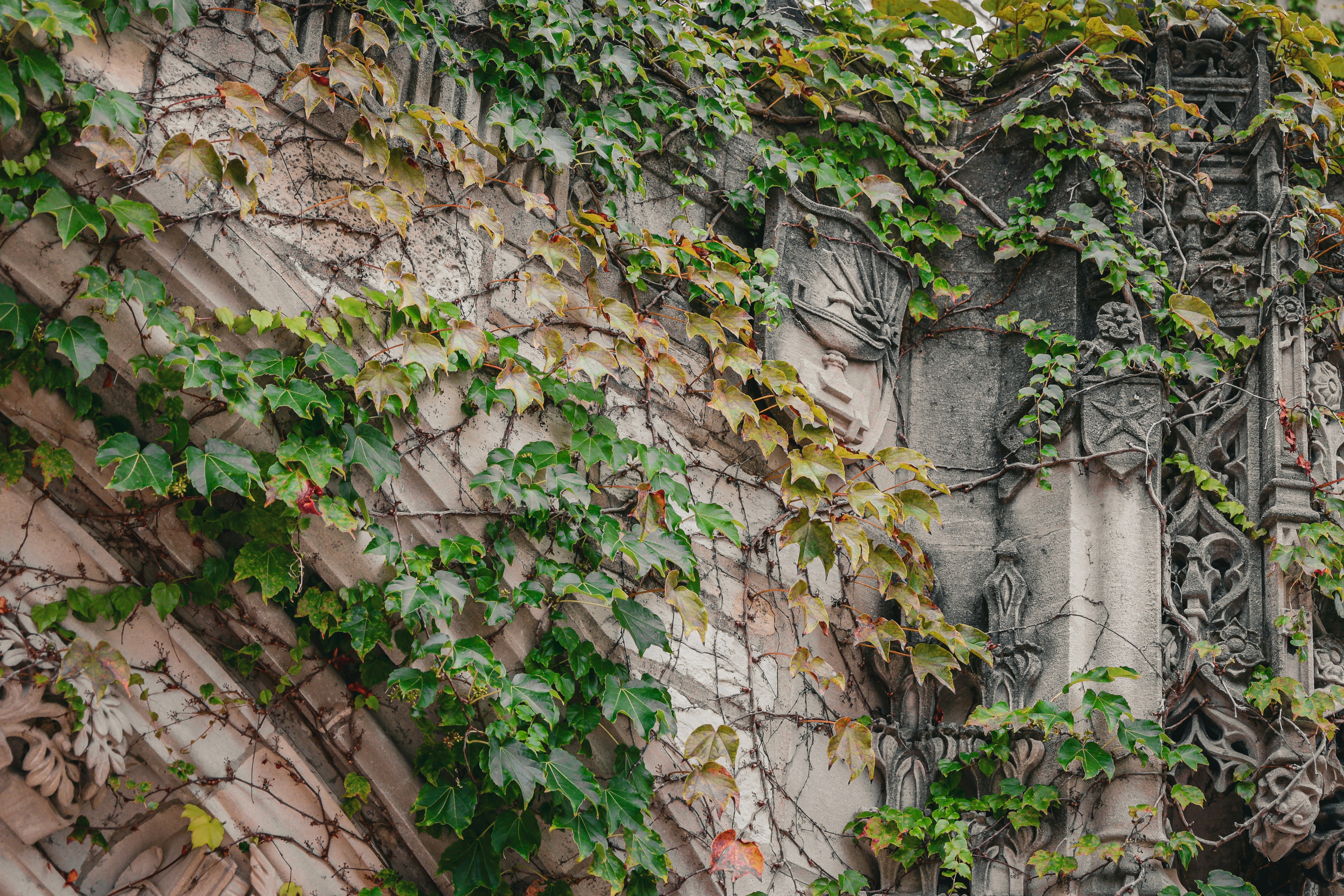 Photo by jossbroward