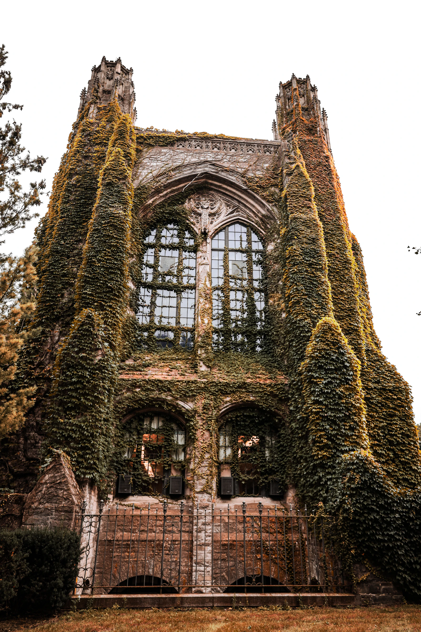 A stately old university building with ivy growing across its facade