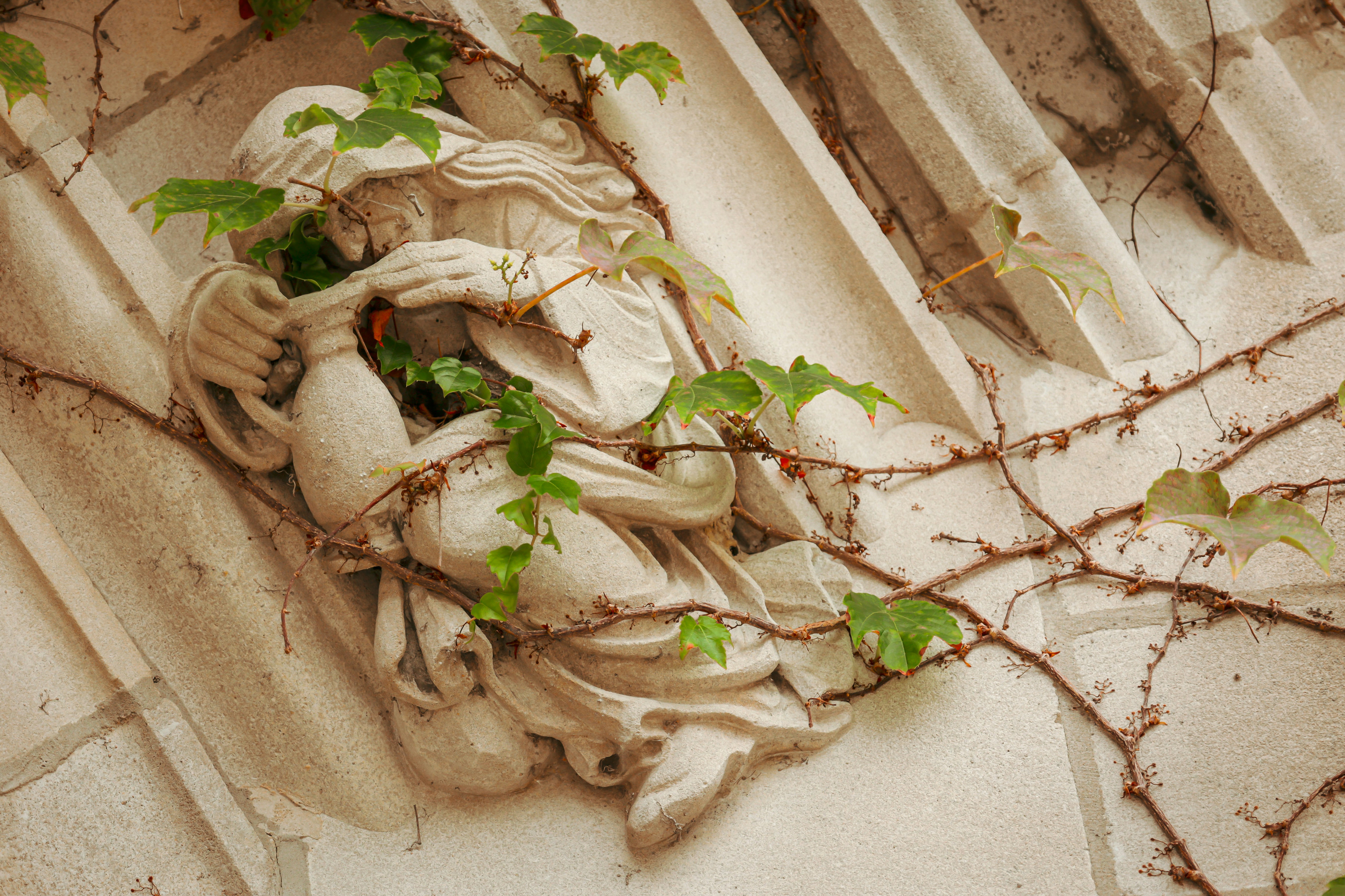 Photo by jossbroward