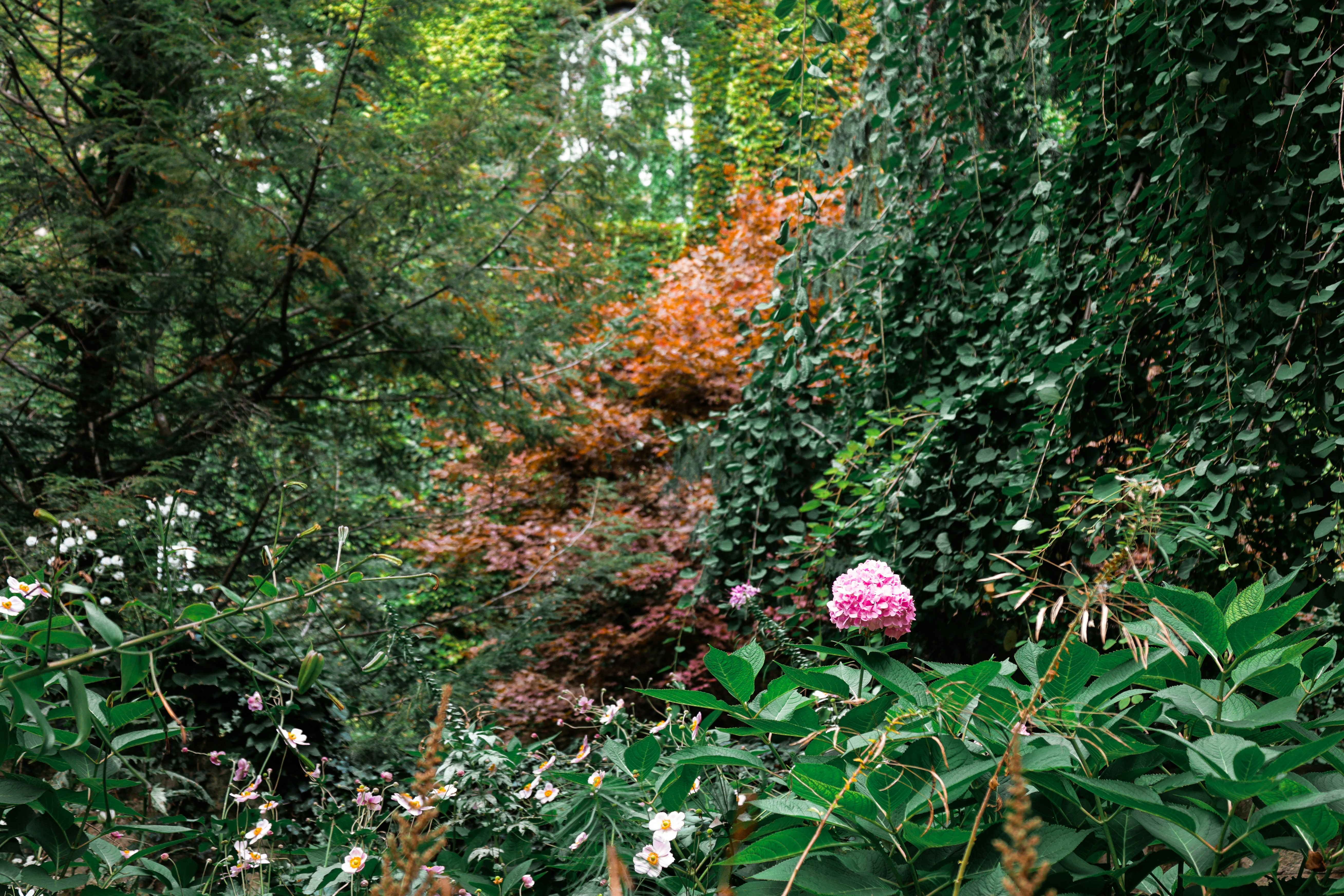 Photo by jossbroward