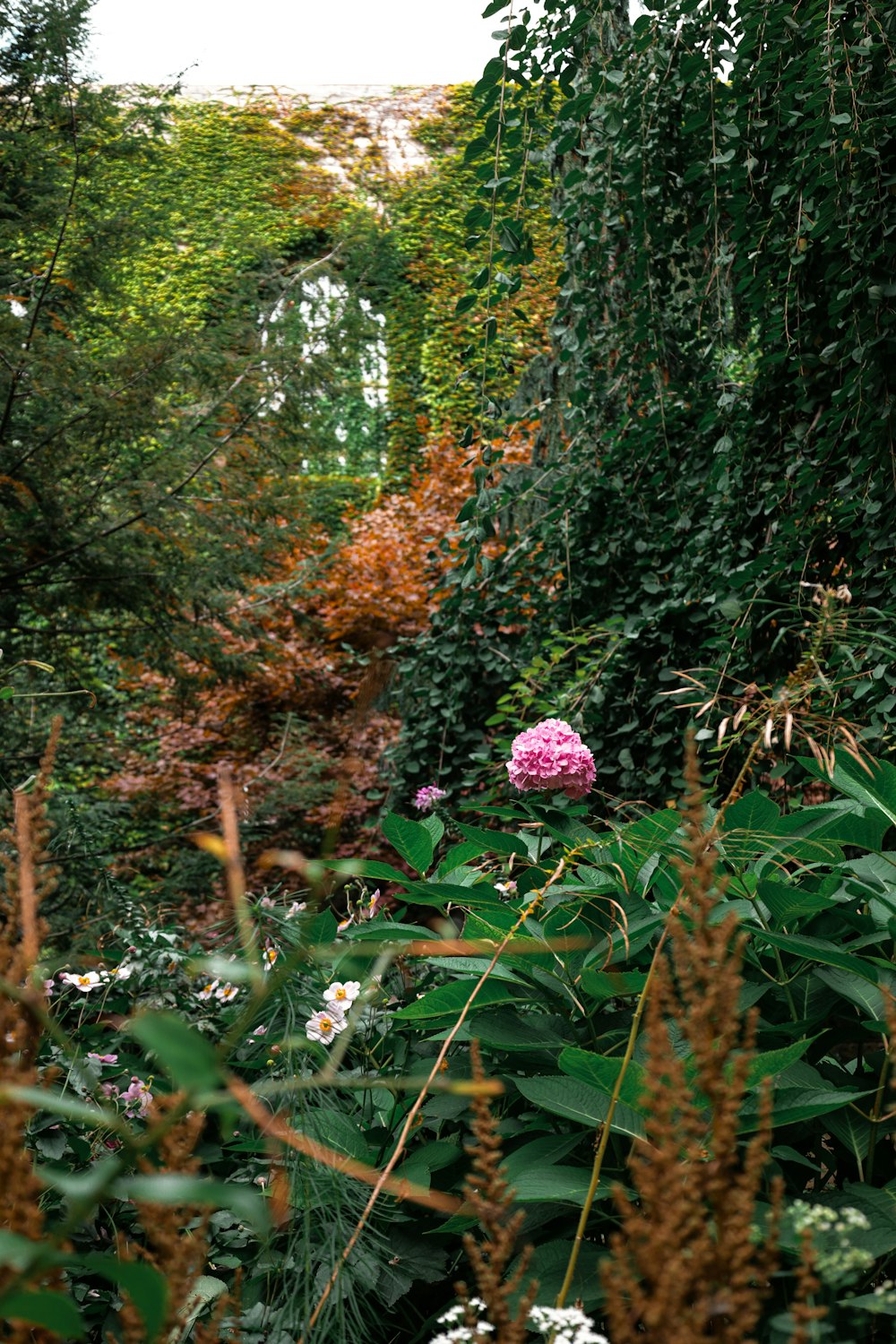 a lush green forest filled with lots of flowers