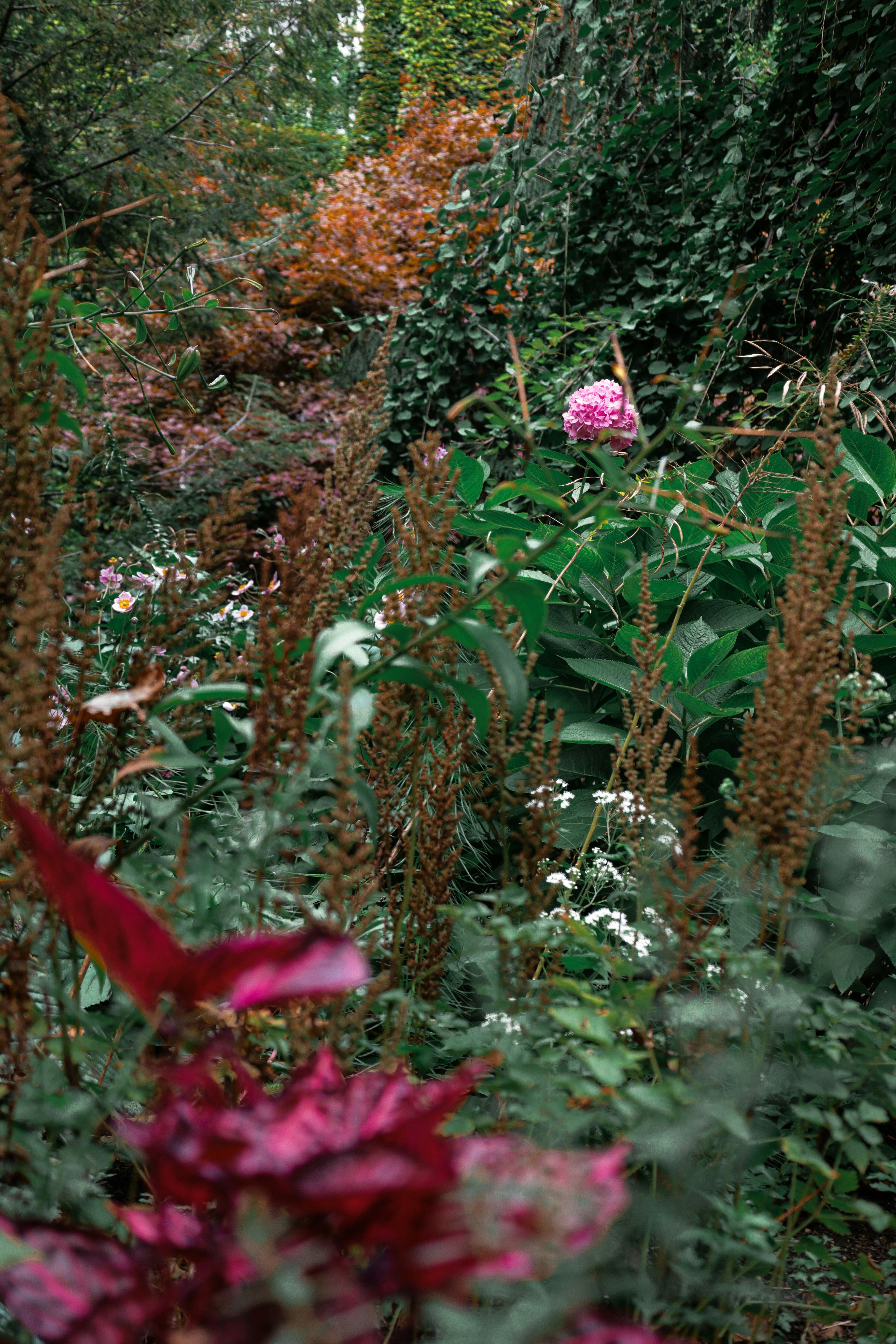 Photo by jossbroward