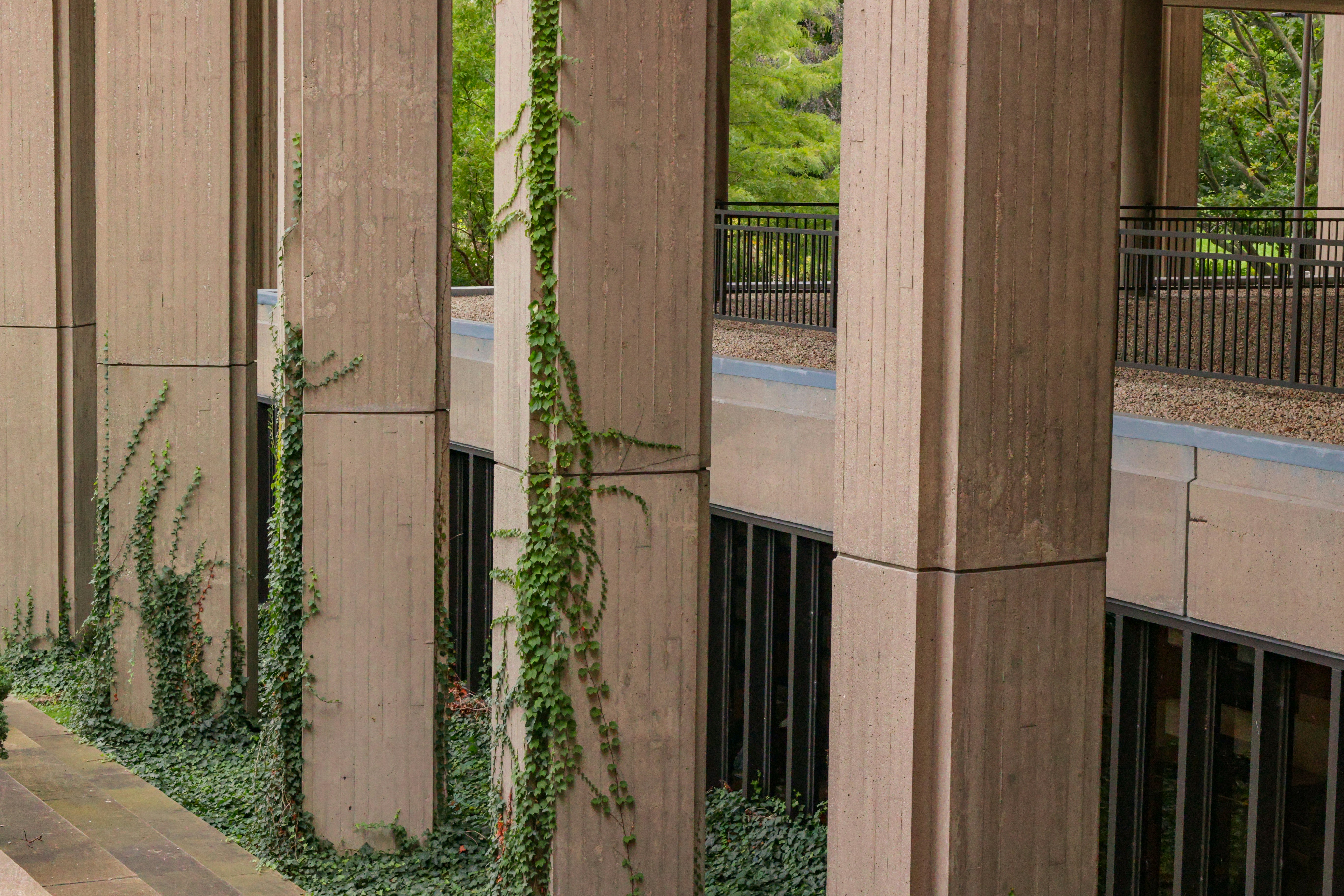 Photo by jossbroward