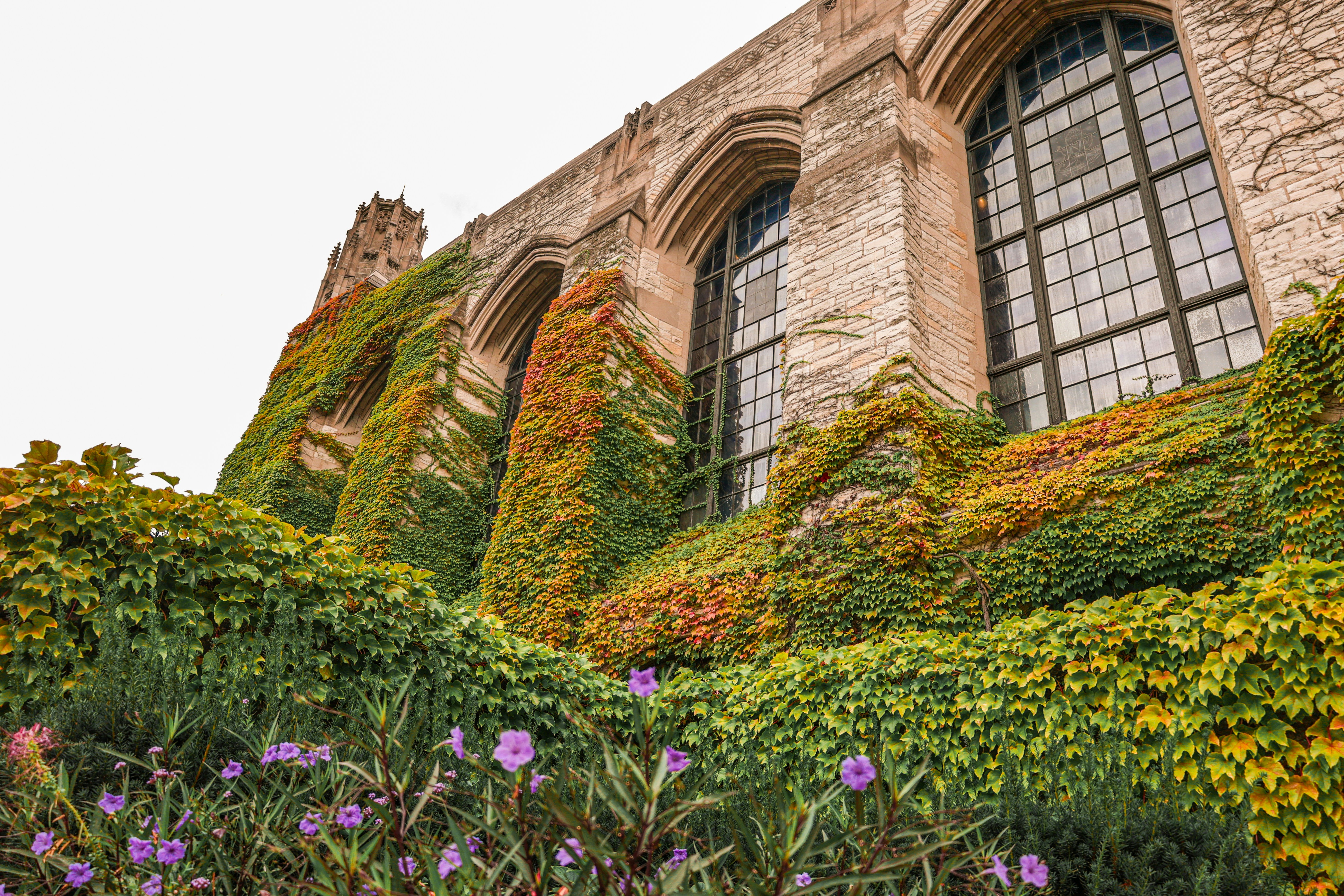 a building covered in vines and flowers next to a building