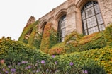 Historic building facade surrounded by natural vegetation.