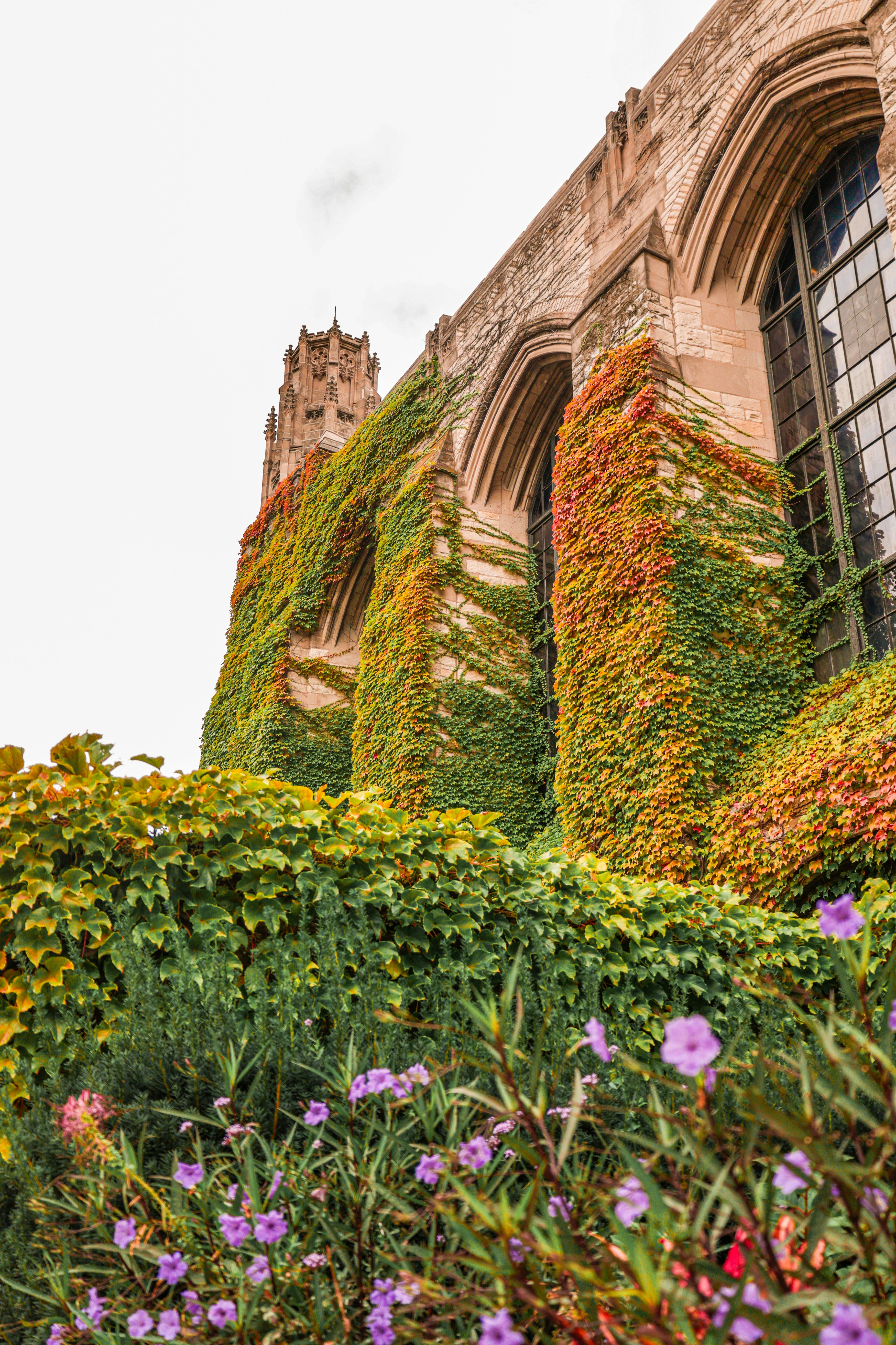 a building covered in vines and flowers with a clock tower in the background