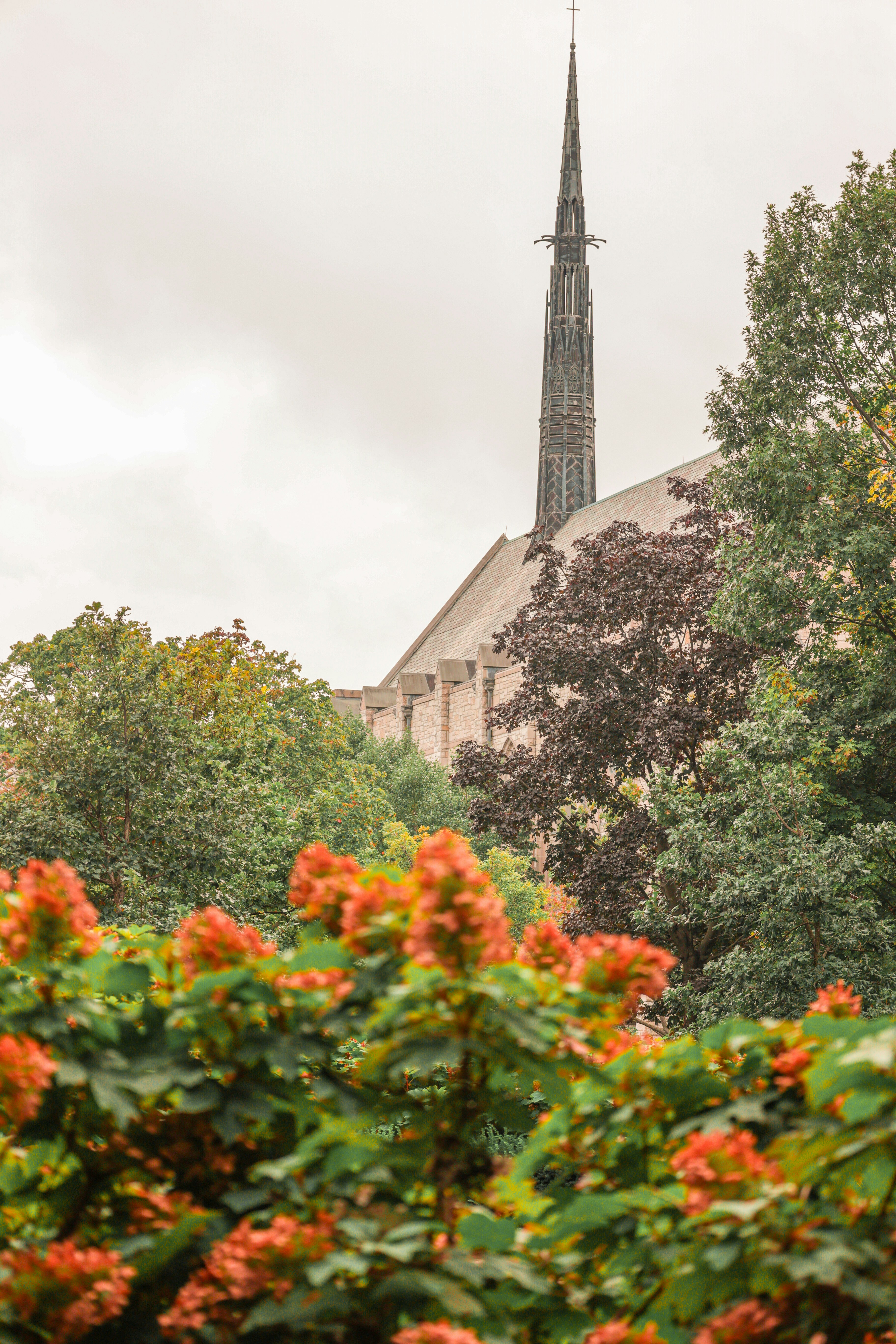 Photo by jossbroward