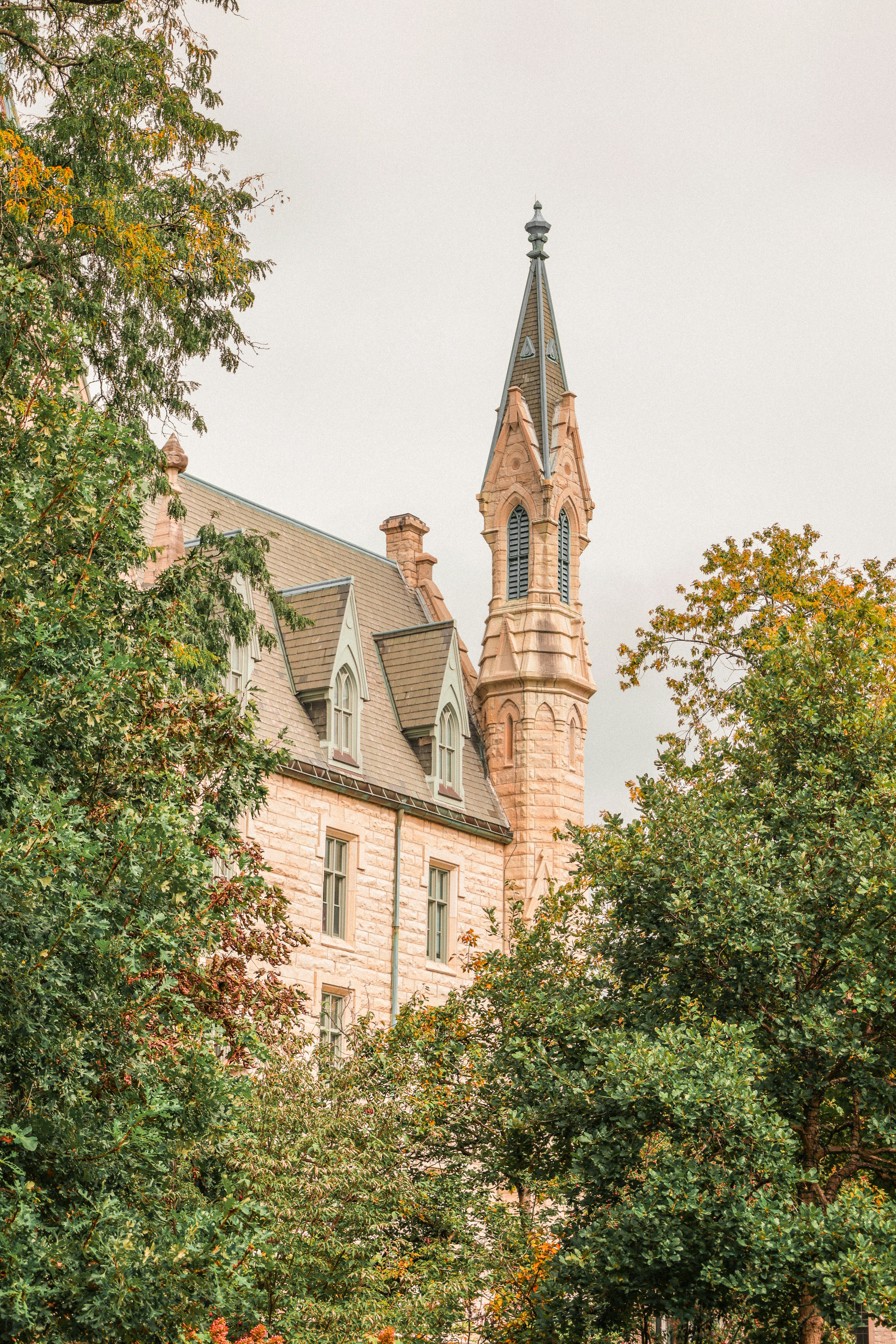 Photo by jossbroward