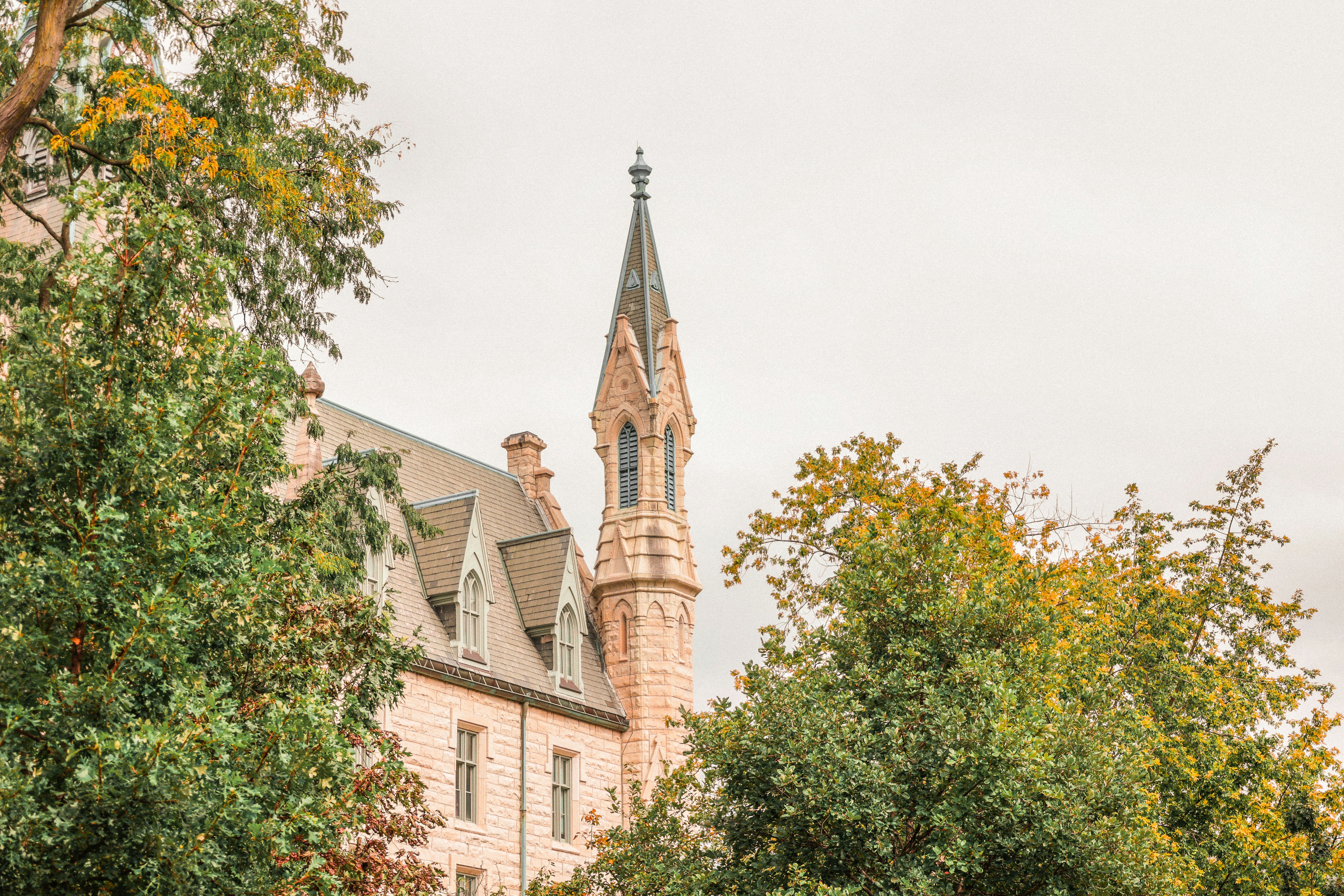 Colleges in Crunch #2: Northwestern University’s Purple Price Tag