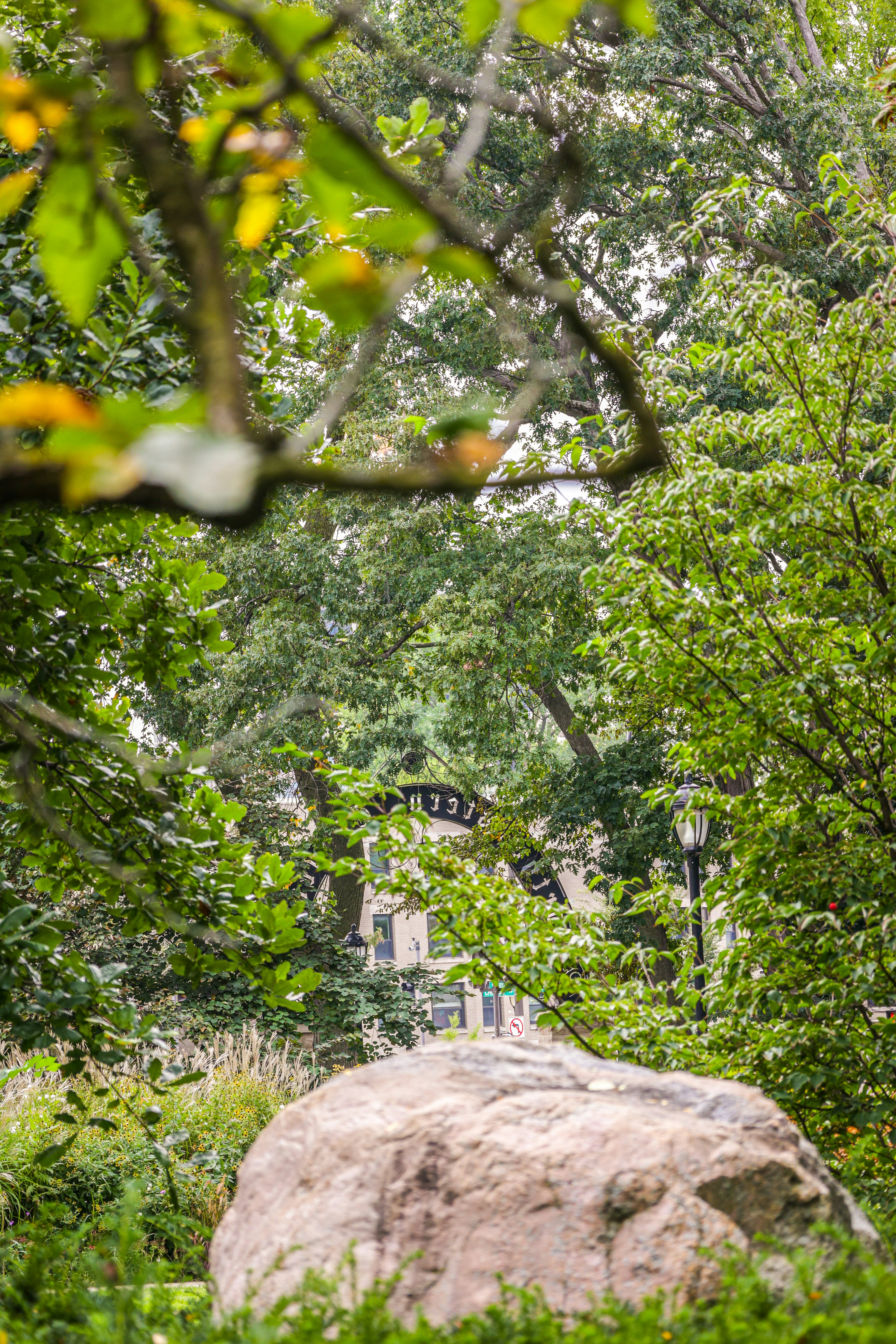 a large rock in the middle of a forest