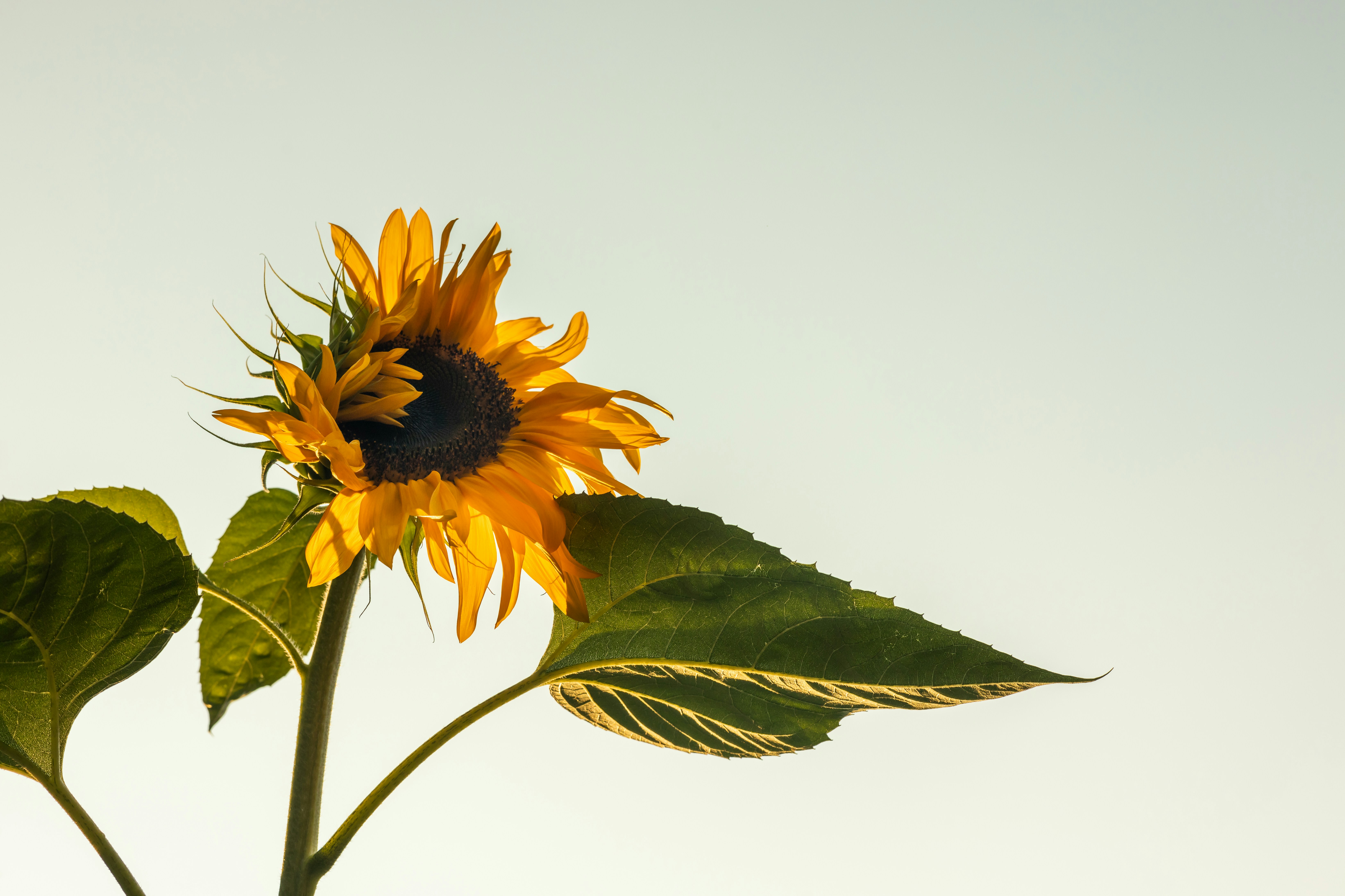 Photo by greg_rosenke