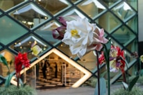 Large, oversized flowers with intricate details are placed in front of a building with a geometric patterned glass facade. People can be seen inside the building, which has modern, chic lighting and decor.