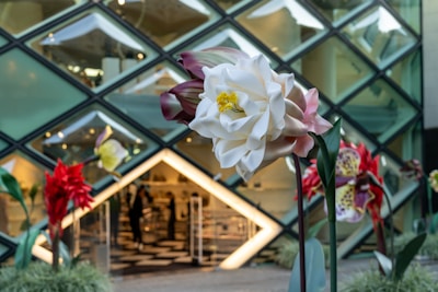 Large, oversized flowers with intricate details are placed in front of a building with a geometric patterned glass facade. People can be seen inside the building, which has modern, chic lighting and decor.