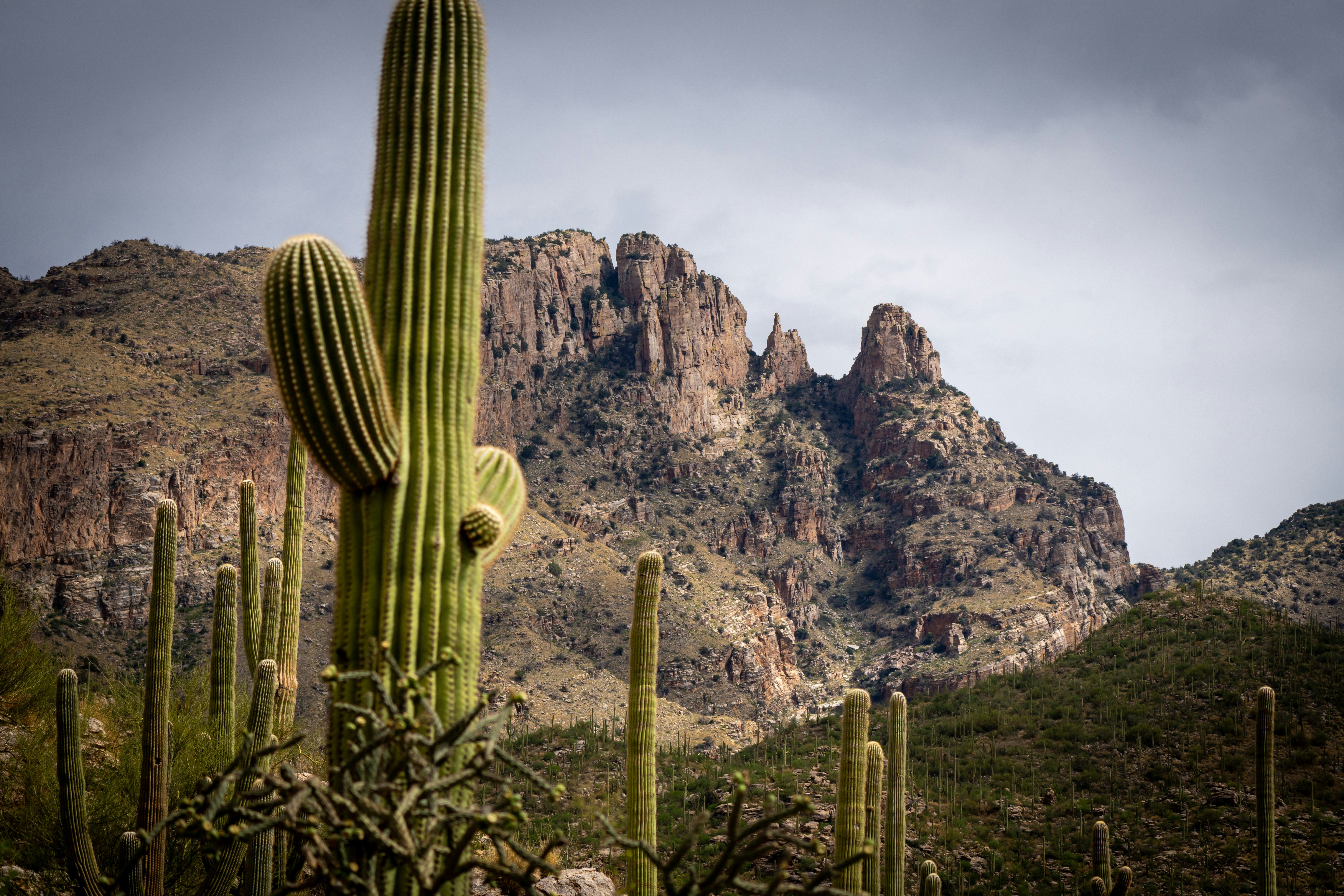 Photo by jcnonstop87