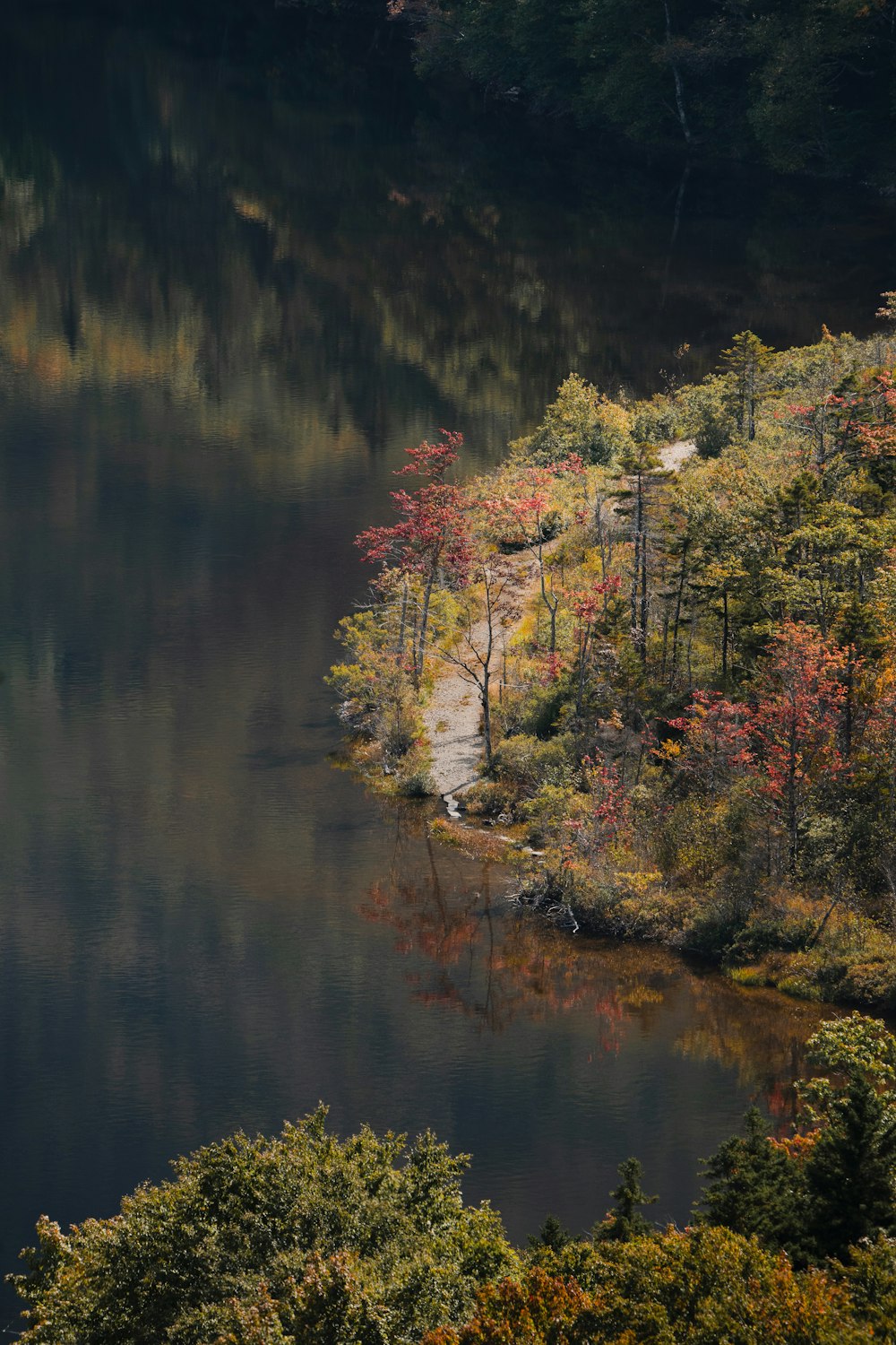 秋に木々に囲まれた水域