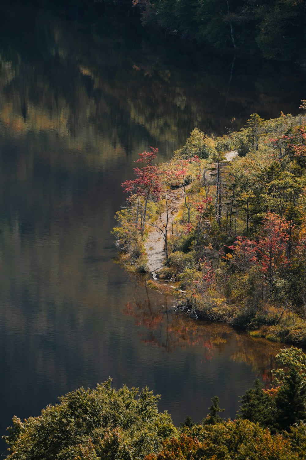 a body of water surrounded by trees in the fall