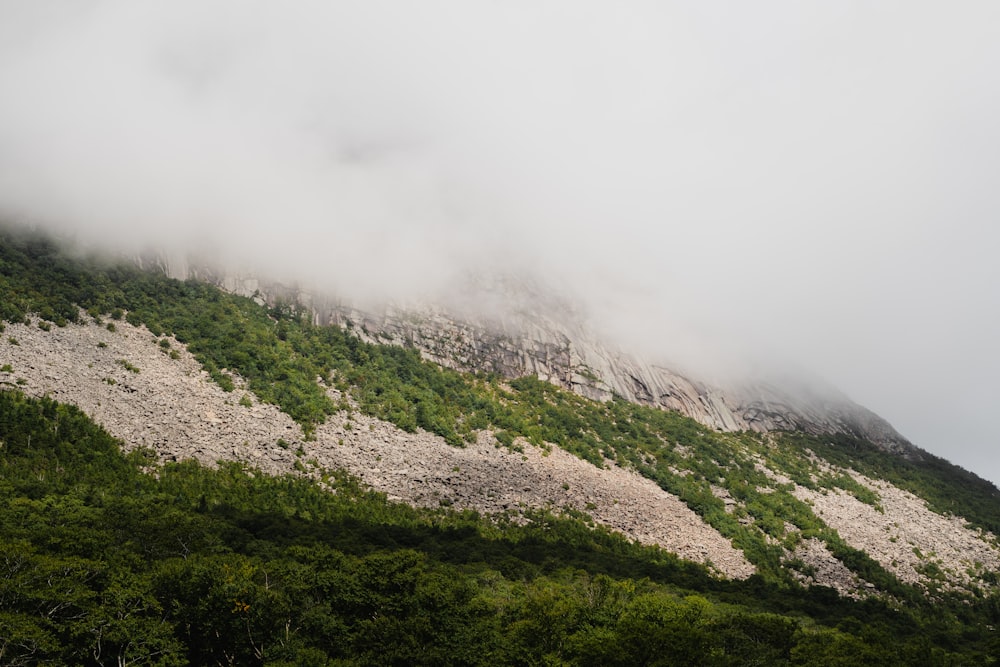 a mountain covered in fog and low lying clouds