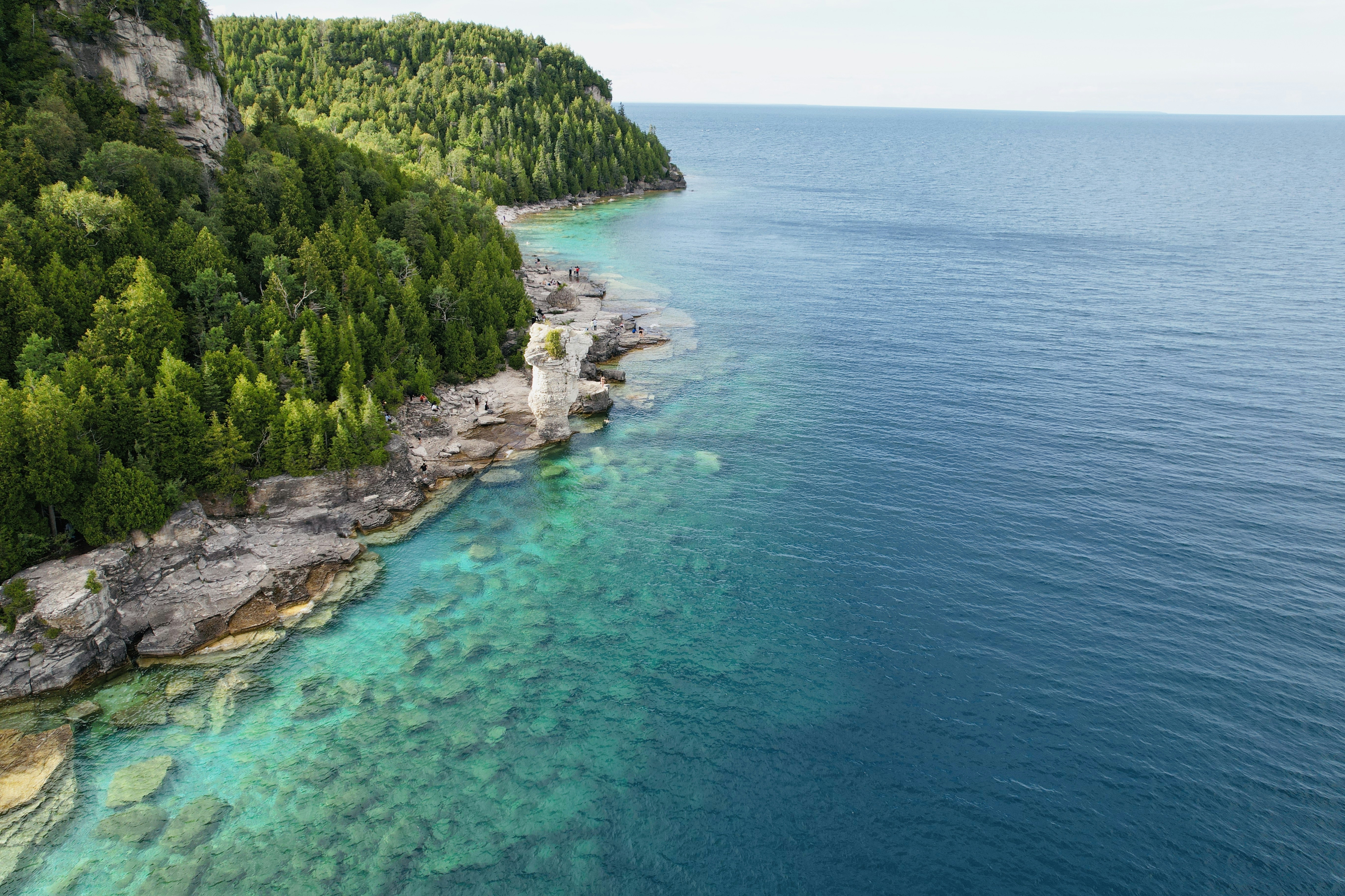 a large body of water surrounded by trees