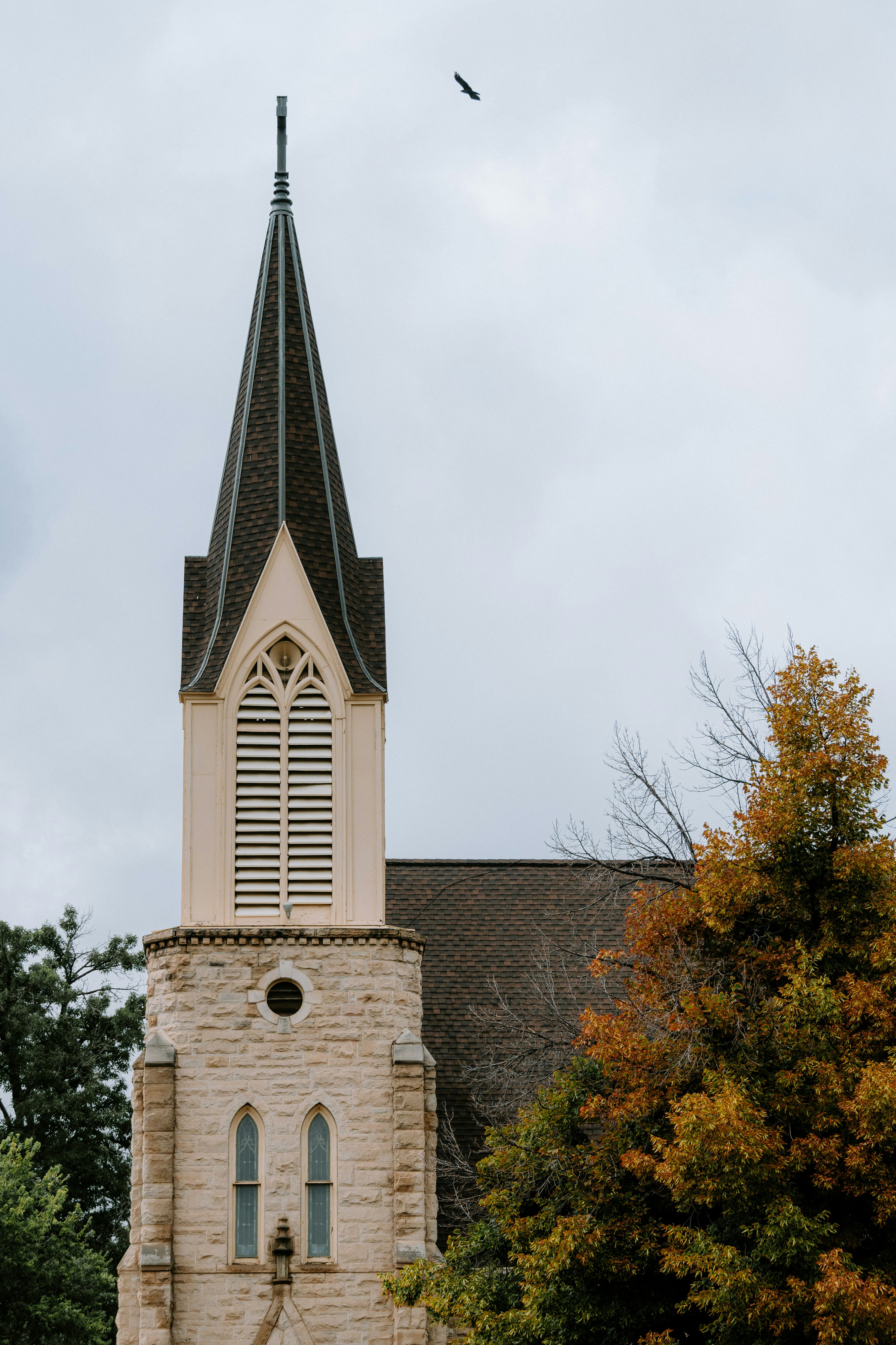 Photo by jaspergribble