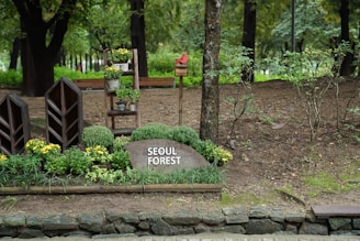 A natural setting with neatly arranged potted plants and flowers surrounded by trees. There is a sign on a stone labeled 'Seoul Forest'. Wooden structures and a small birdhouse add to the garden-like setting, providing a sense of tranquility.