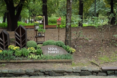 A natural setting with neatly arranged potted plants and flowers surrounded by trees. There is a sign on a stone labeled 'Seoul Forest'. Wooden structures and a small birdhouse add to the garden-like setting, providing a sense of tranquility.