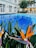 A serene outdoor pool area surrounded by potted plants and tropical flowers. The water is a vibrant blue, reflecting the nearby building's white-framed windows and light beige walls. Palm trees and lounge chairs line the poolside, providing an inviting and relaxing atmosphere.