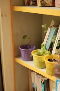 A display of vibrant flower bookshelves blending nature with storage.