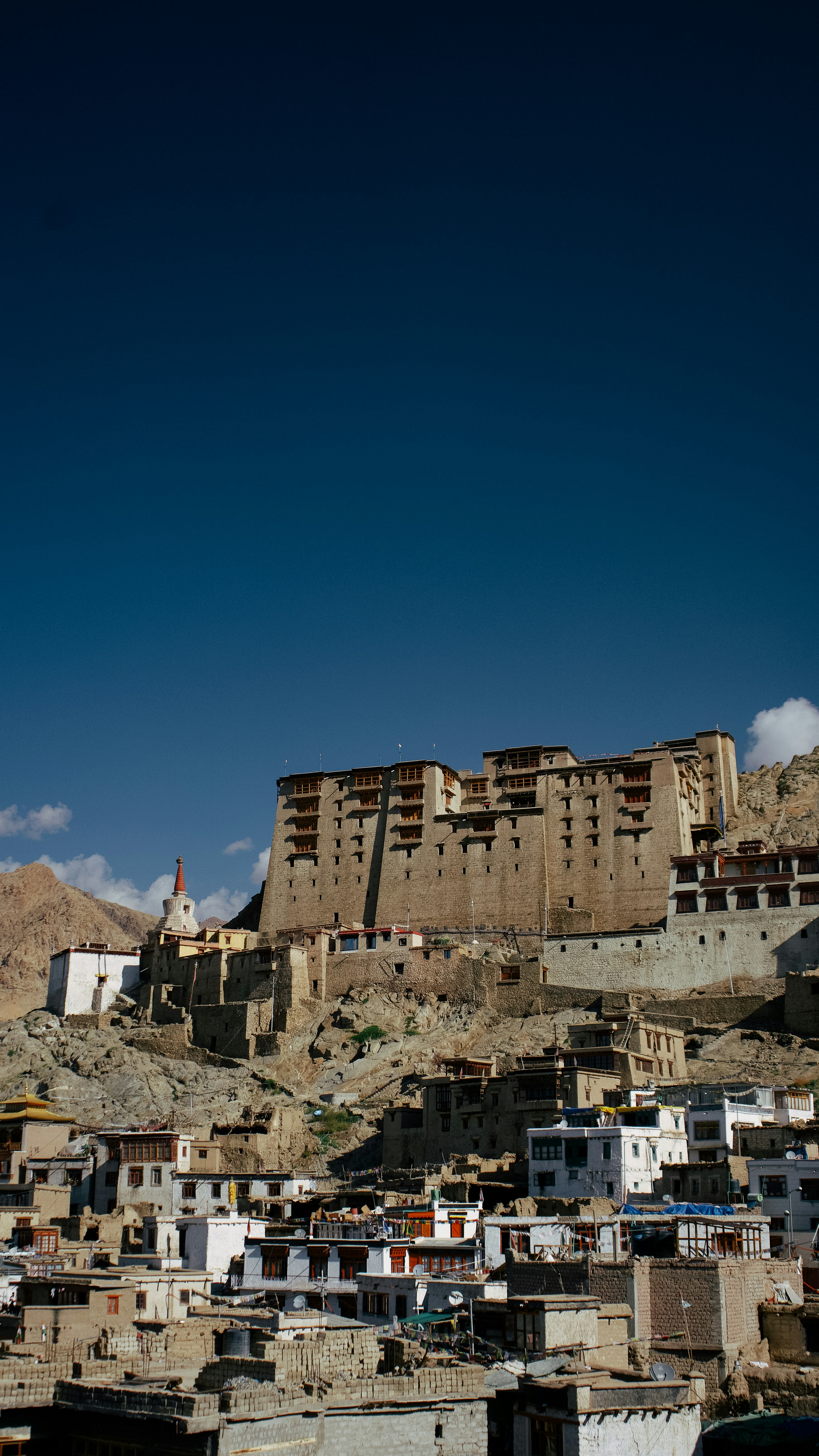 Leh Palace