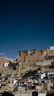 The ancient Leh Palace standing tall against a backdrop of the clear sky and desert landscape.