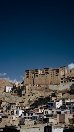 The ancient Leh Palace standing tall against a backdrop of the clear sky and desert landscape.