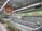 A nearly empty supermarket with empty shelves and freezer units. Colorful signs advertise discounts of up to 80% and other promotional offers in bold fonts above the shelves. The image conveys a sense of clearance sale or store closure.