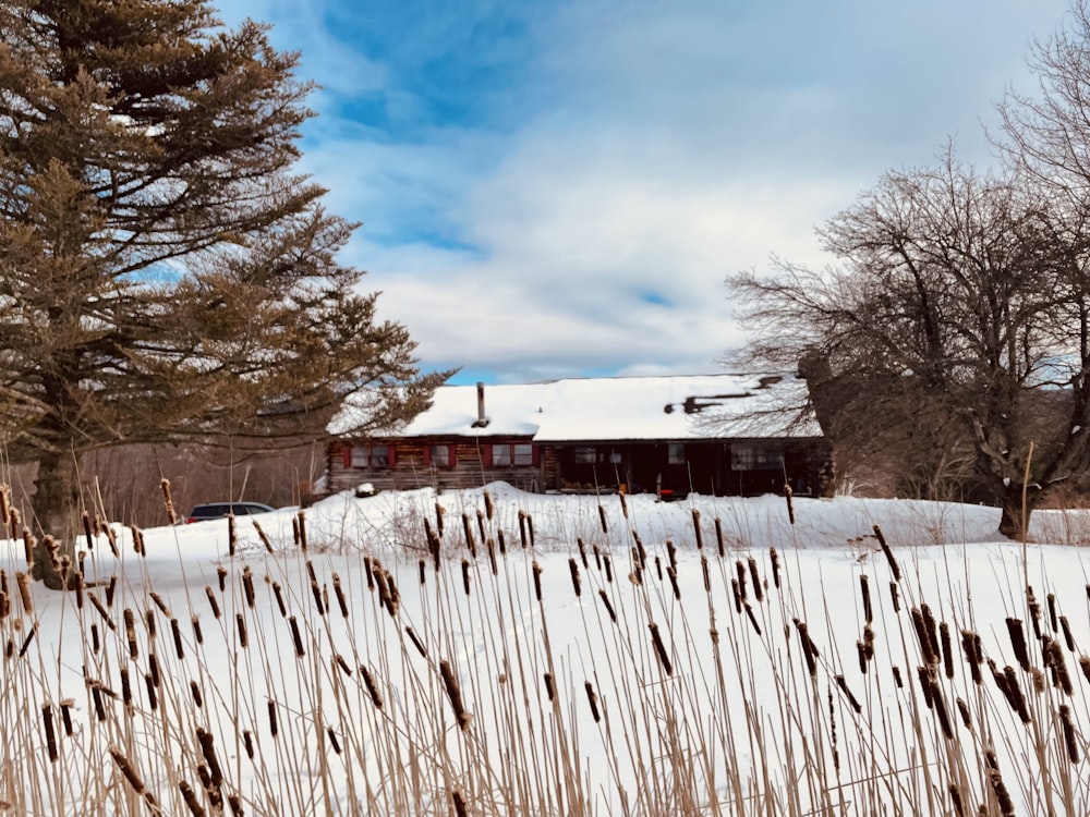 a snow covered field with a house in the background