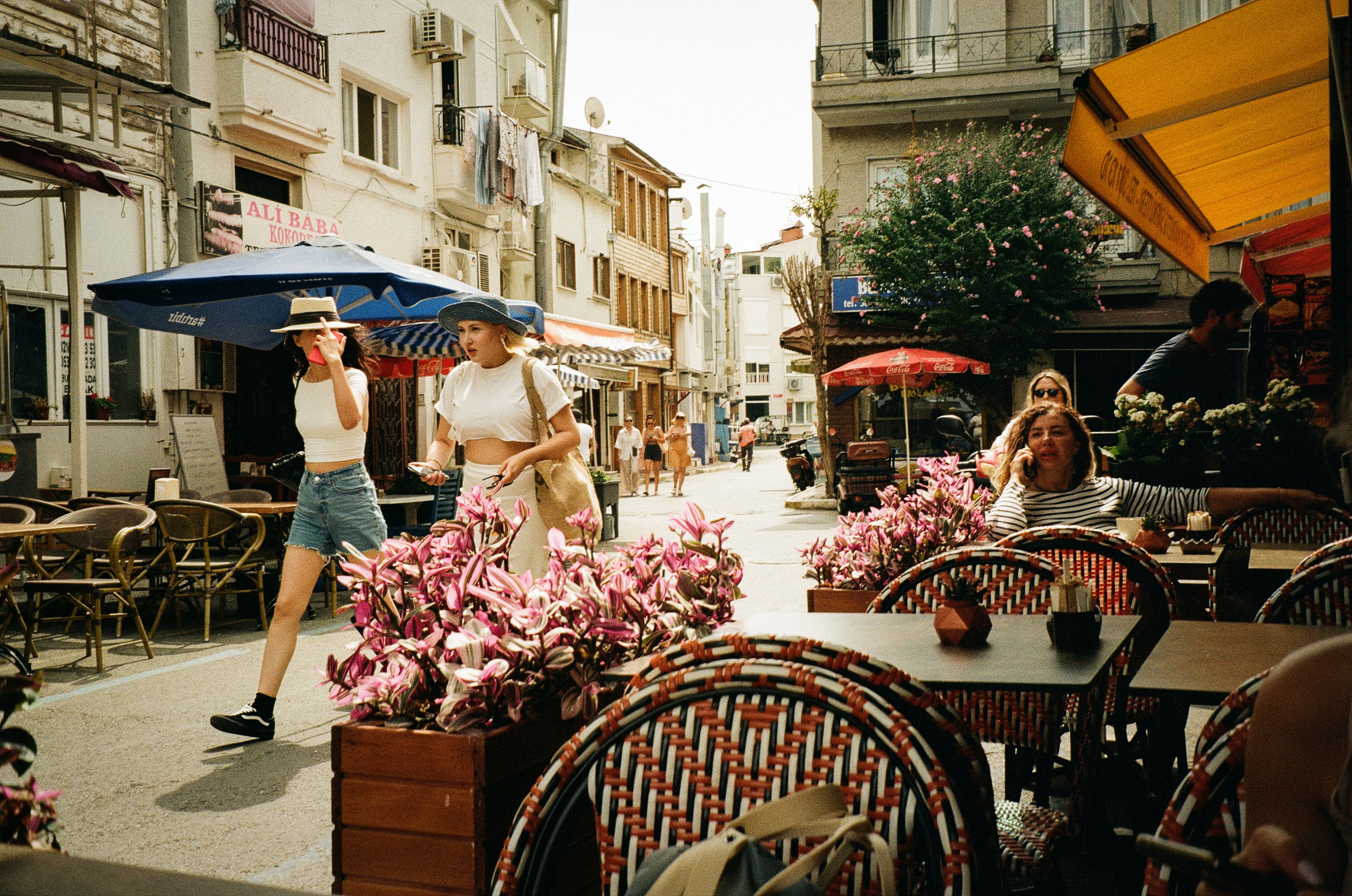 Photo by stachmann