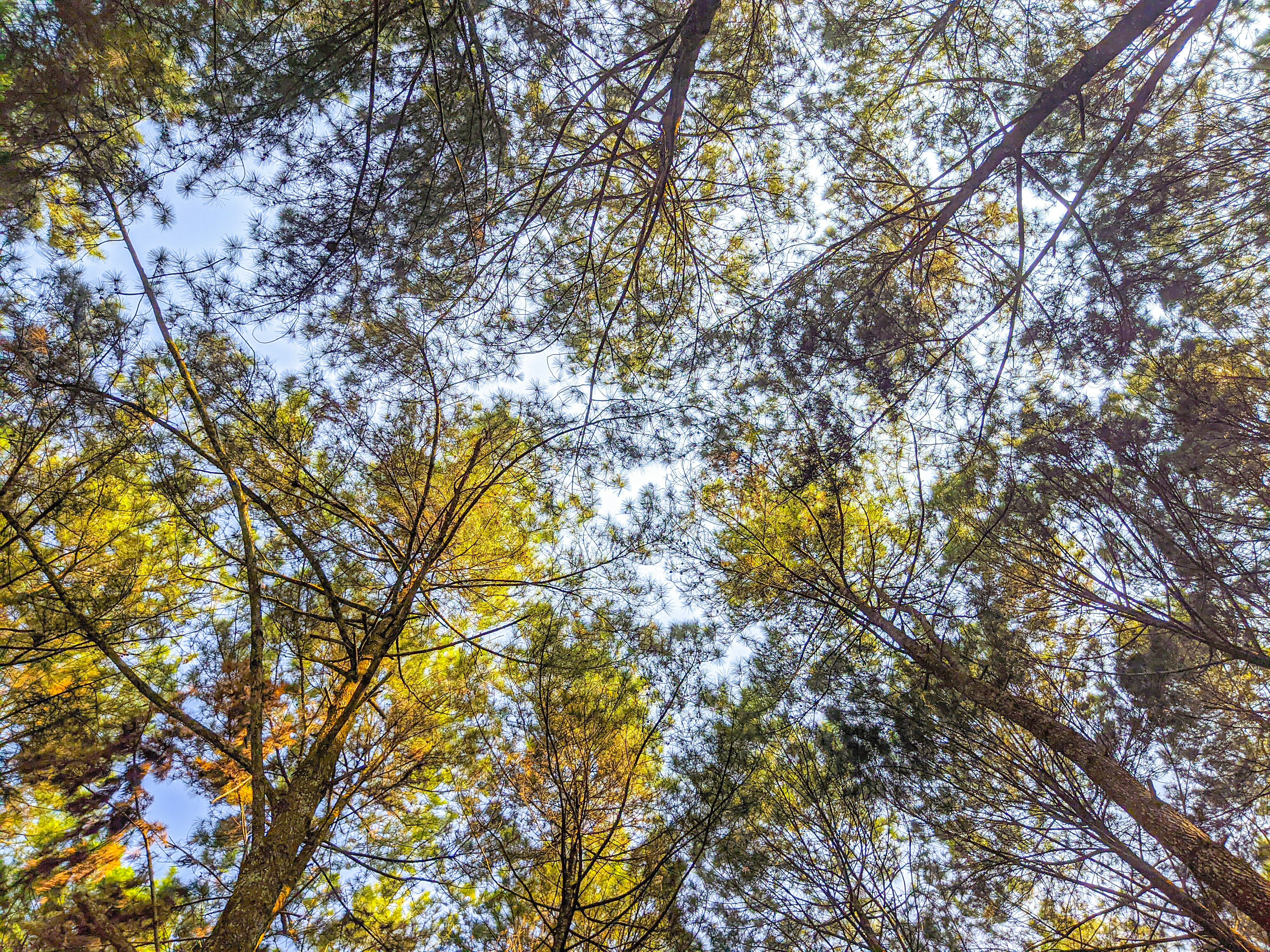 Photo by indraazzikri