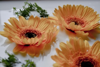 a group of orange flowers sitting on top of a table