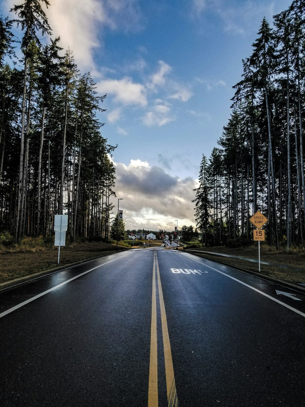 an empty road in the middle of a forest