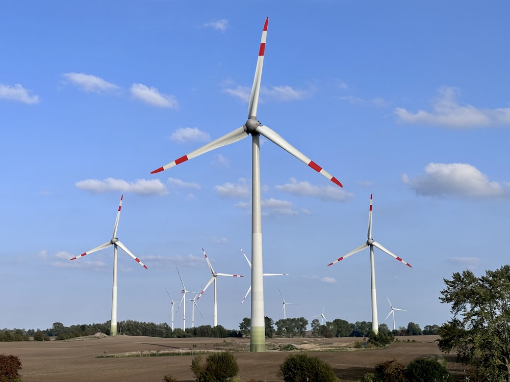 a group of wind turbines in a field