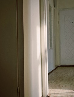 Elegant white painted wooden door with glass panels in a bright hallway