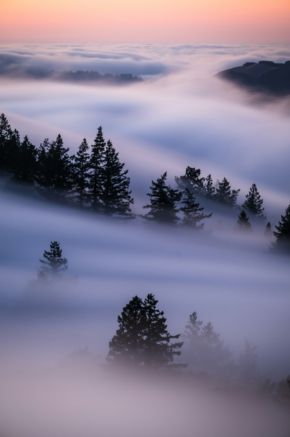 a foggy landscape with trees in the foreground