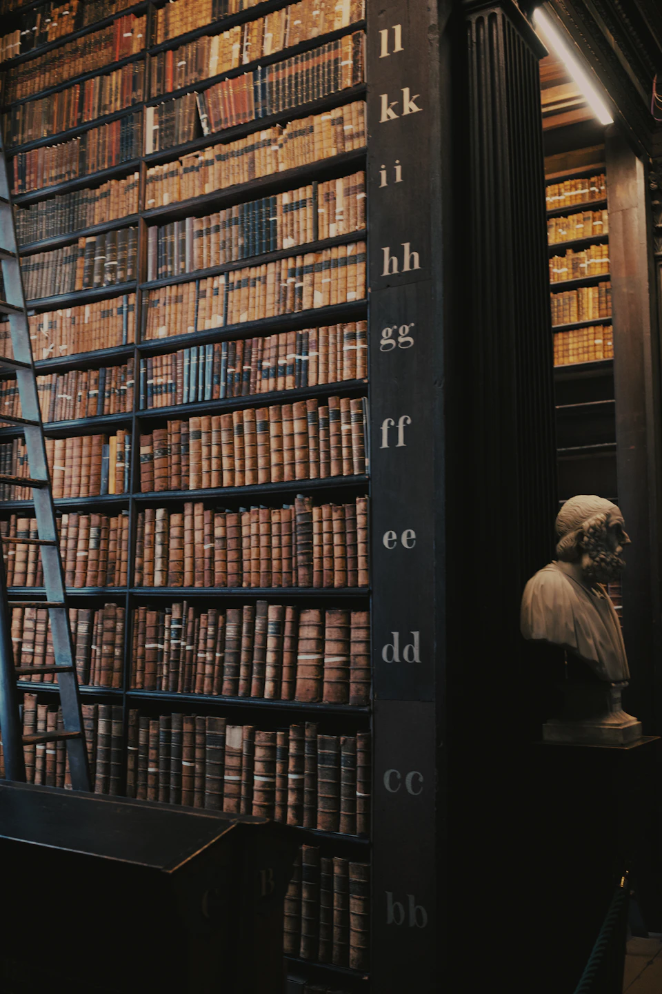 Grand library with tall bookshelves filled with diverse books in various sizes and colors