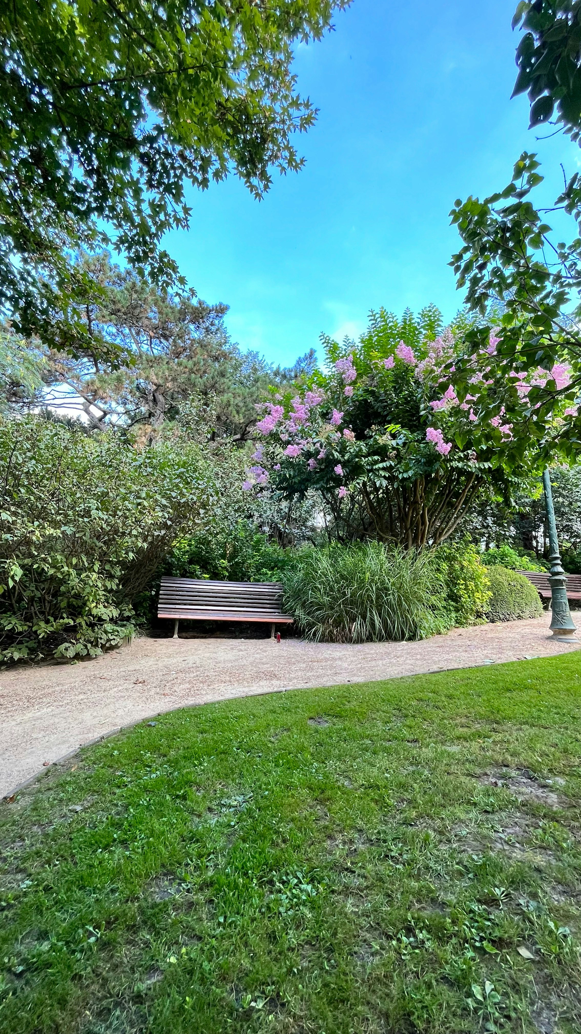 a park bench sitting in the middle of a lush green park