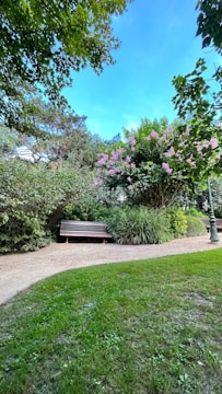 A serene backyard garden featuring a wooden bench surrounded by flowering plants and soft lighting.