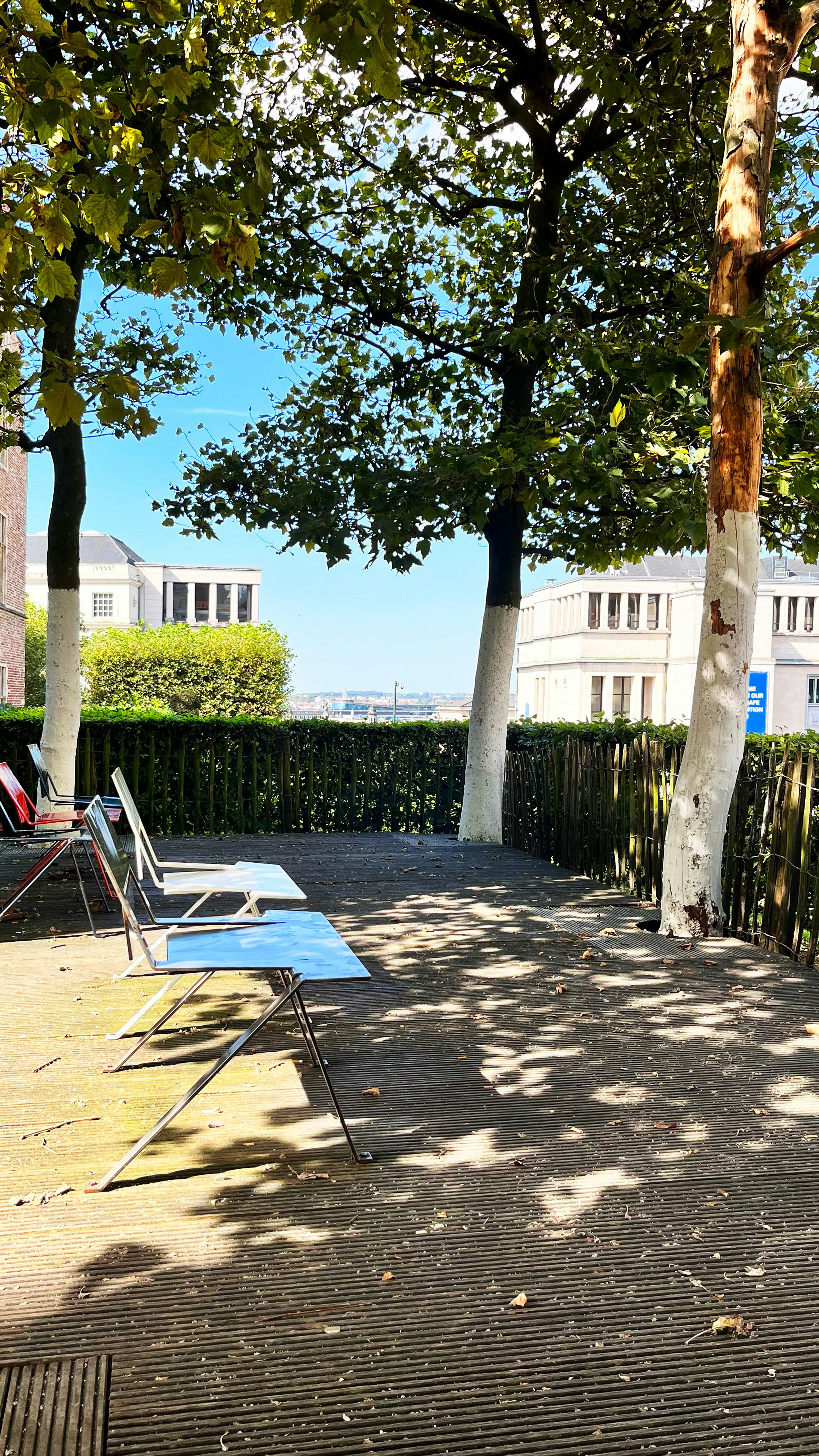 a row of lawn chairs sitting on top of a sidewalk