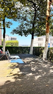 Backyard garden with a wooden deck and mature trees providing shade.