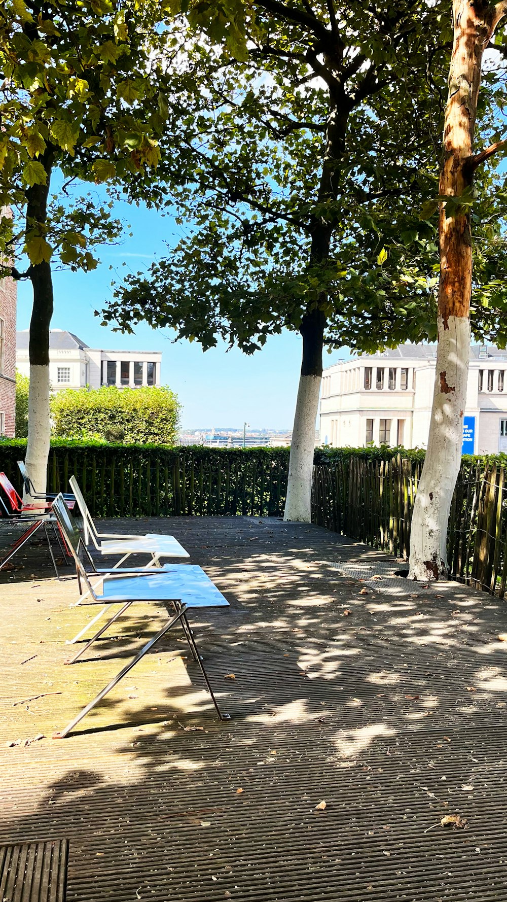 a row of lawn chairs sitting on top of a sidewalk