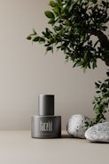 A sleek, matte-finished bottle labeled 'facebk' is positioned on a light beige surface. To the right of the bottle, a green leafy branch extends partially into the frame. Two smooth gray stones are placed adjacent to the bottle, adding a natural element to the composition. The background is minimalist and neutral, enhancing the focus on the bottle and natural elements.