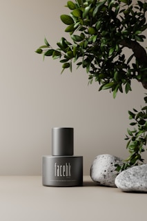 A sleek, matte-finished bottle labeled 'facebk' is positioned on a light beige surface. To the right of the bottle, a green leafy branch extends partially into the frame. Two smooth gray stones are placed adjacent to the bottle, adding a natural element to the composition. The background is minimalist and neutral, enhancing the focus on the bottle and natural elements.