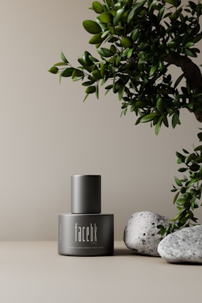 A sleek, matte-finished bottle labeled 'facebk' is positioned on a light beige surface. To the right of the bottle, a green leafy branch extends partially into the frame. Two smooth gray stones are placed adjacent to the bottle, adding a natural element to the composition. The background is minimalist and neutral, enhancing the focus on the bottle and natural elements.