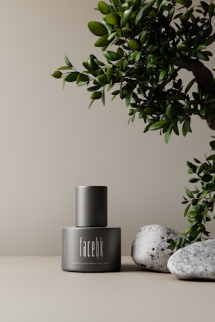 A sleek, matte-finished bottle labeled 'facebk' is positioned on a light beige surface. To the right of the bottle, a green leafy branch extends partially into the frame. Two smooth gray stones are placed adjacent to the bottle, adding a natural element to the composition. The background is minimalist and neutral, enhancing the focus on the bottle and natural elements.